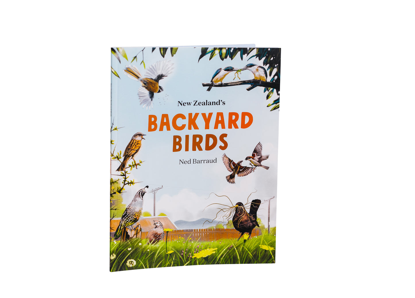 New Zealand's Backyard Birds