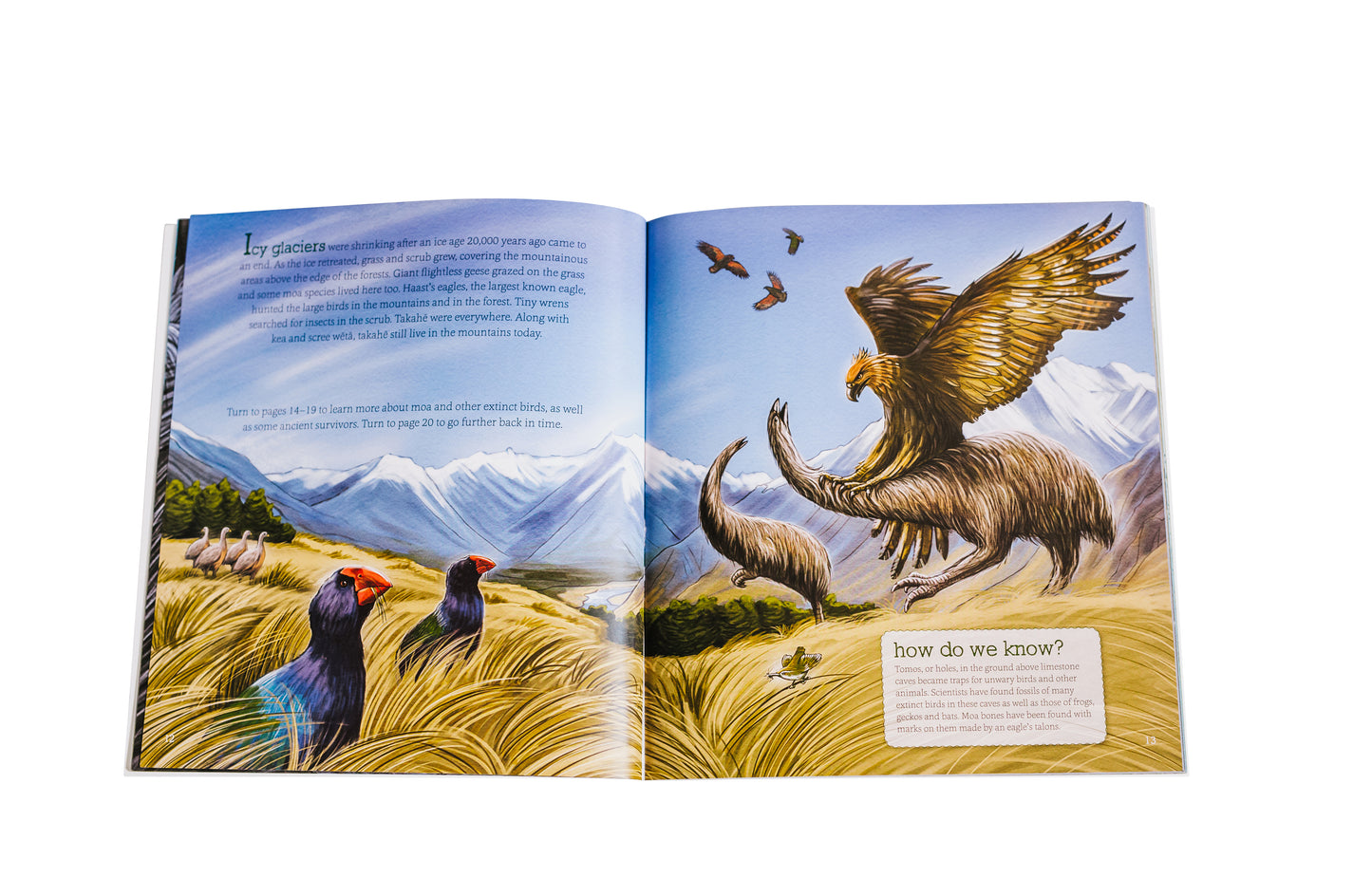 From Moa To Dinosaurs