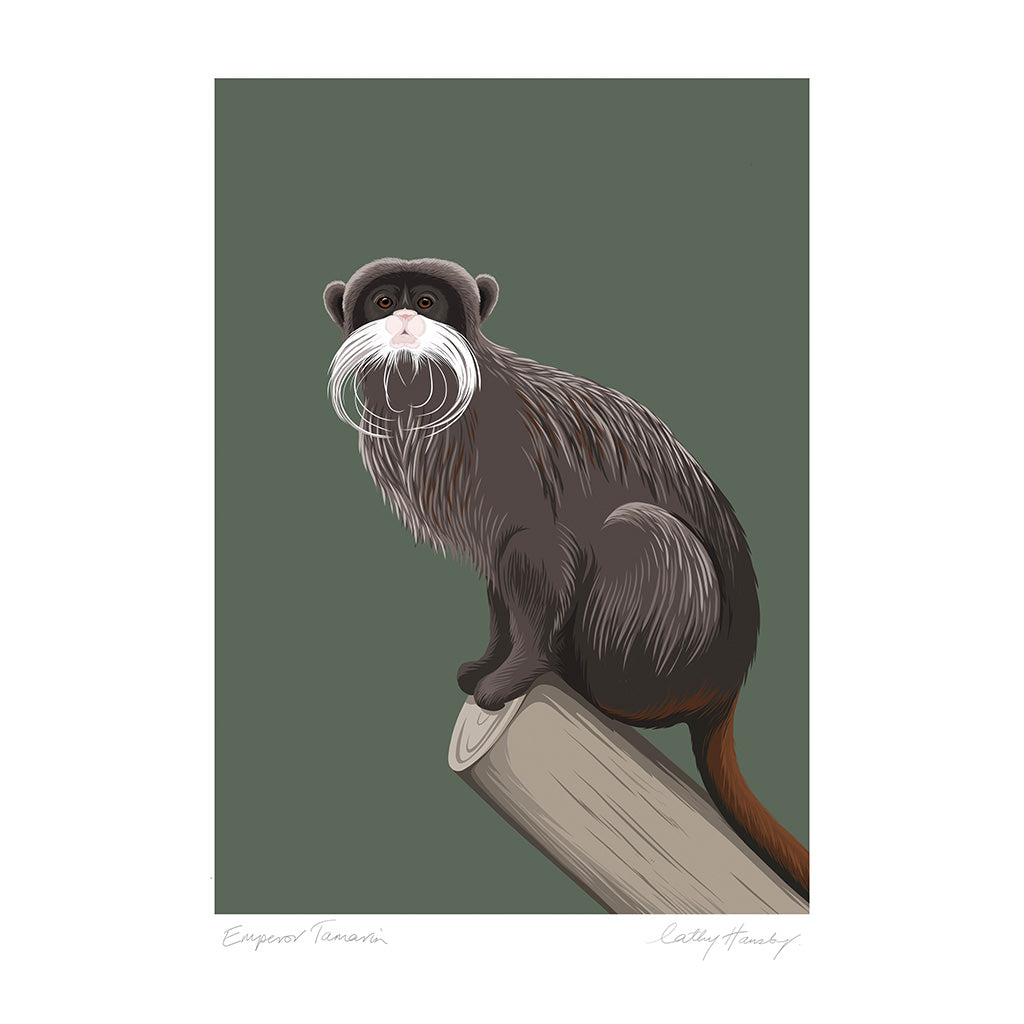 Illustration of an Emperor tamarin on a branch with a green background