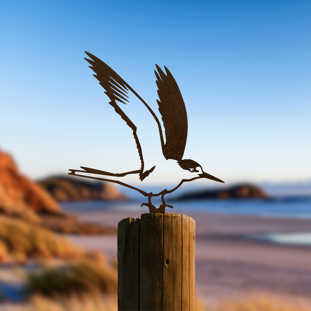 Metalbird Tara Iti