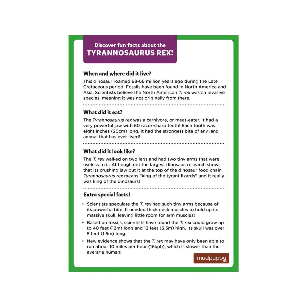 Mini Dinosaur 48pc Puzzle