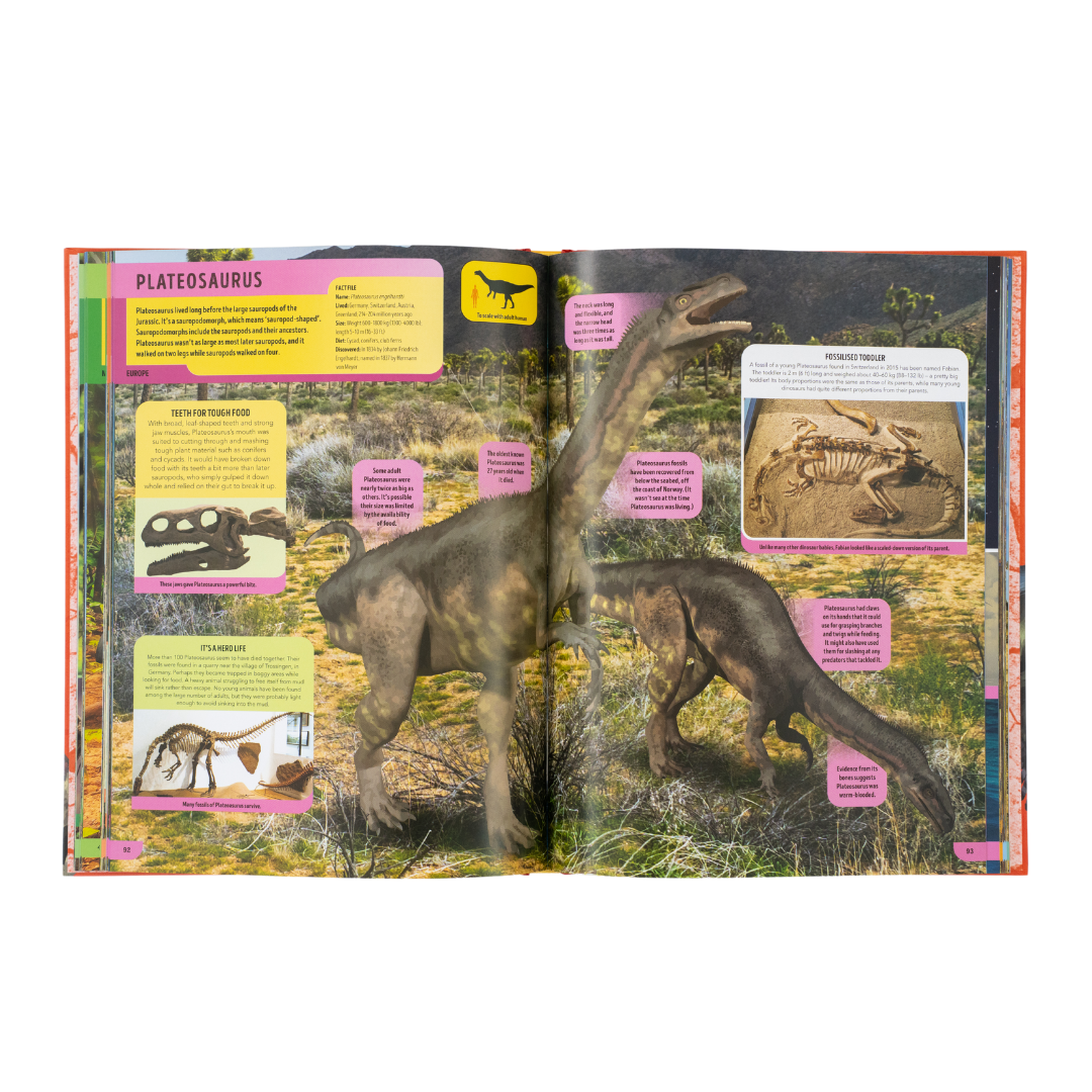 The Dinosaur Book