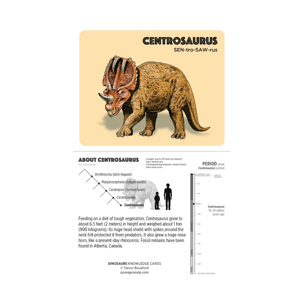 Dinosaurs Knowledge Cards