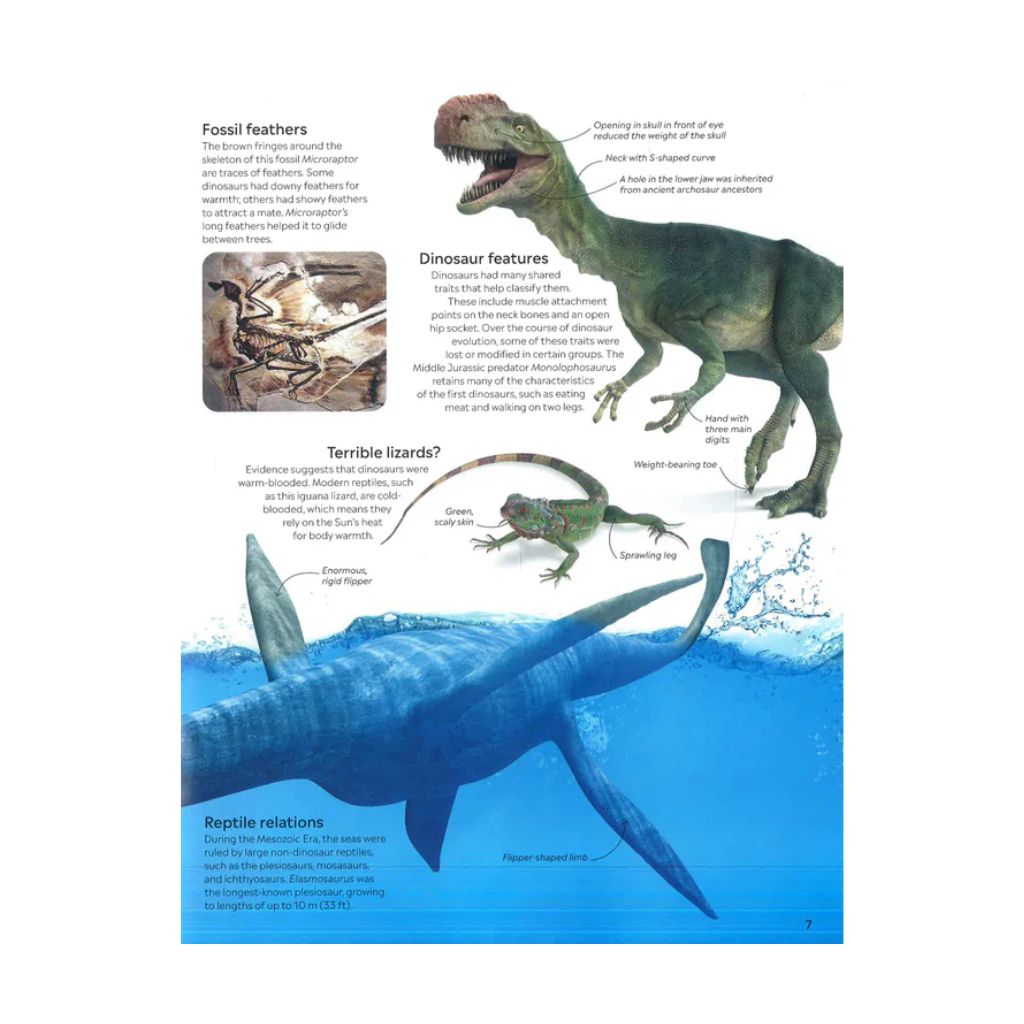Eyewitness Dinosaur