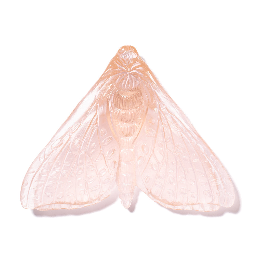 A pale peach-pink glass moth sculpture, shown against a solid white background.