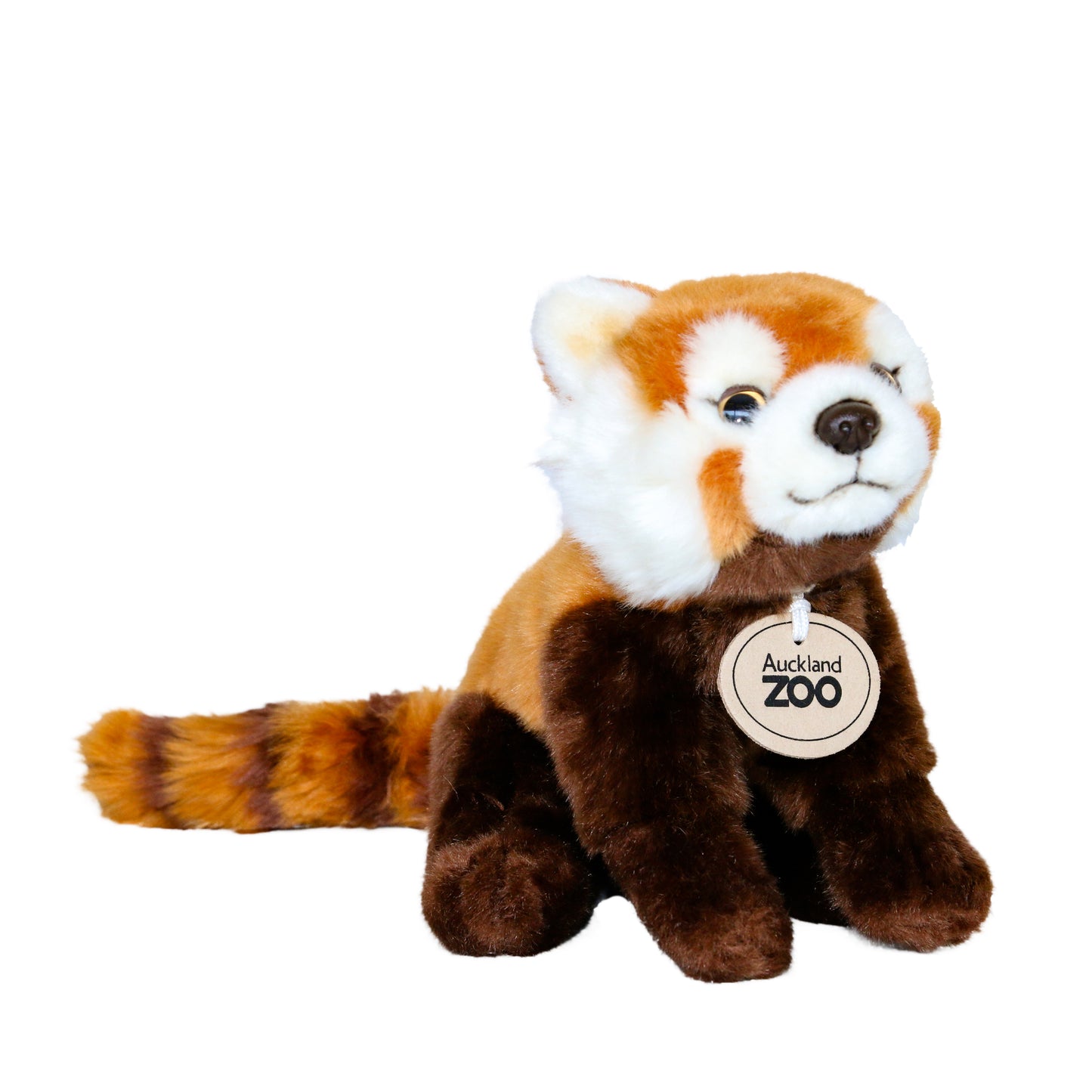 Auckland Zoo Red Panda