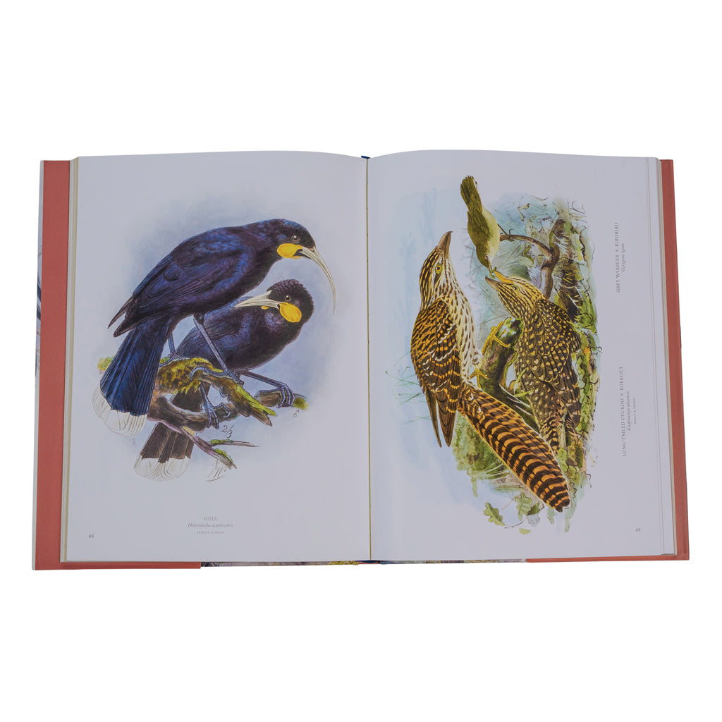 Bullers Birds Of New Zealand