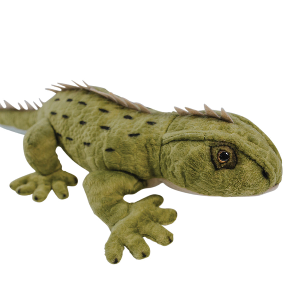 Tuatara Toy Large