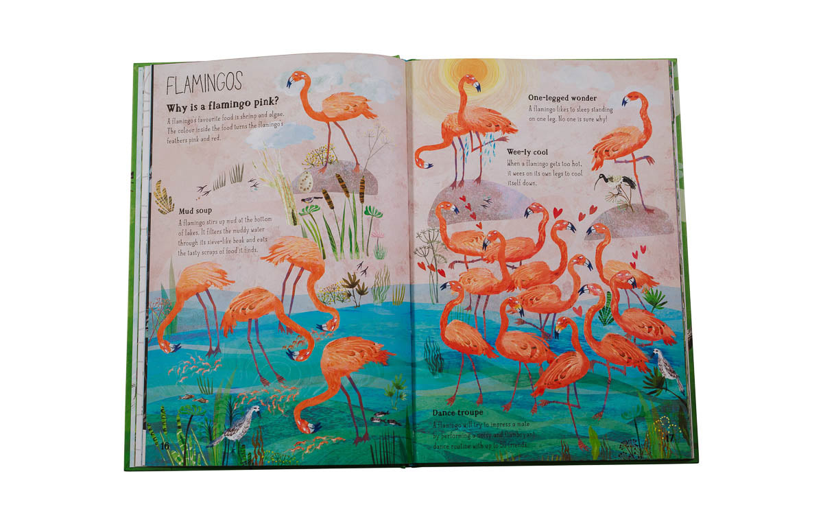The Big Book of Birds