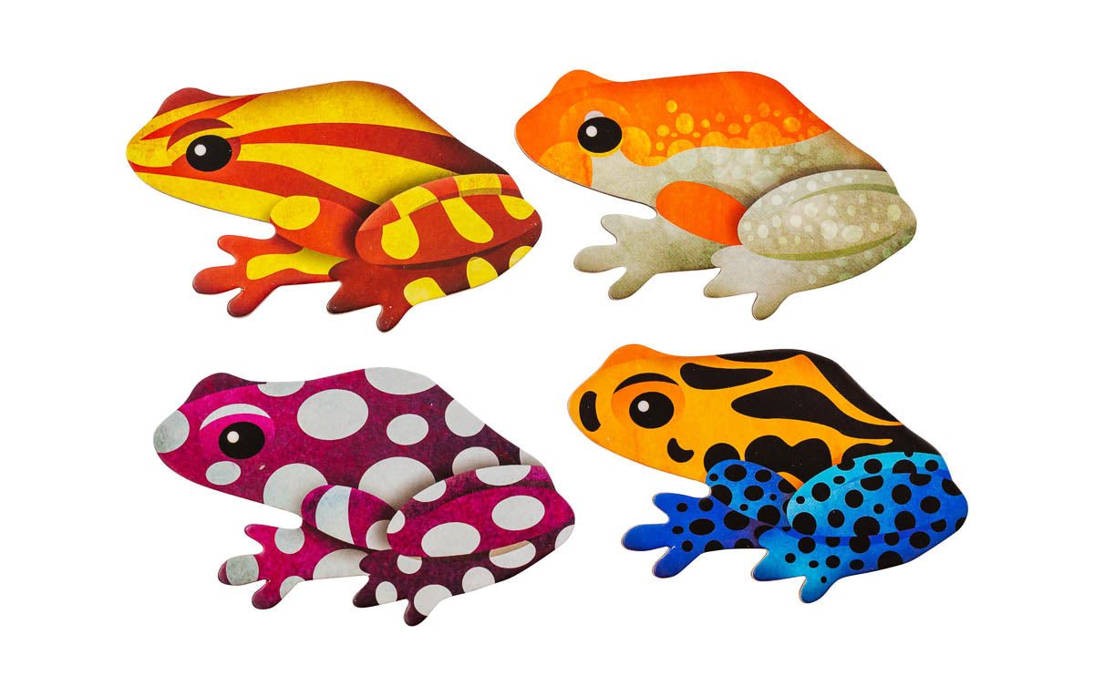 Tropical Frogs Memory Match