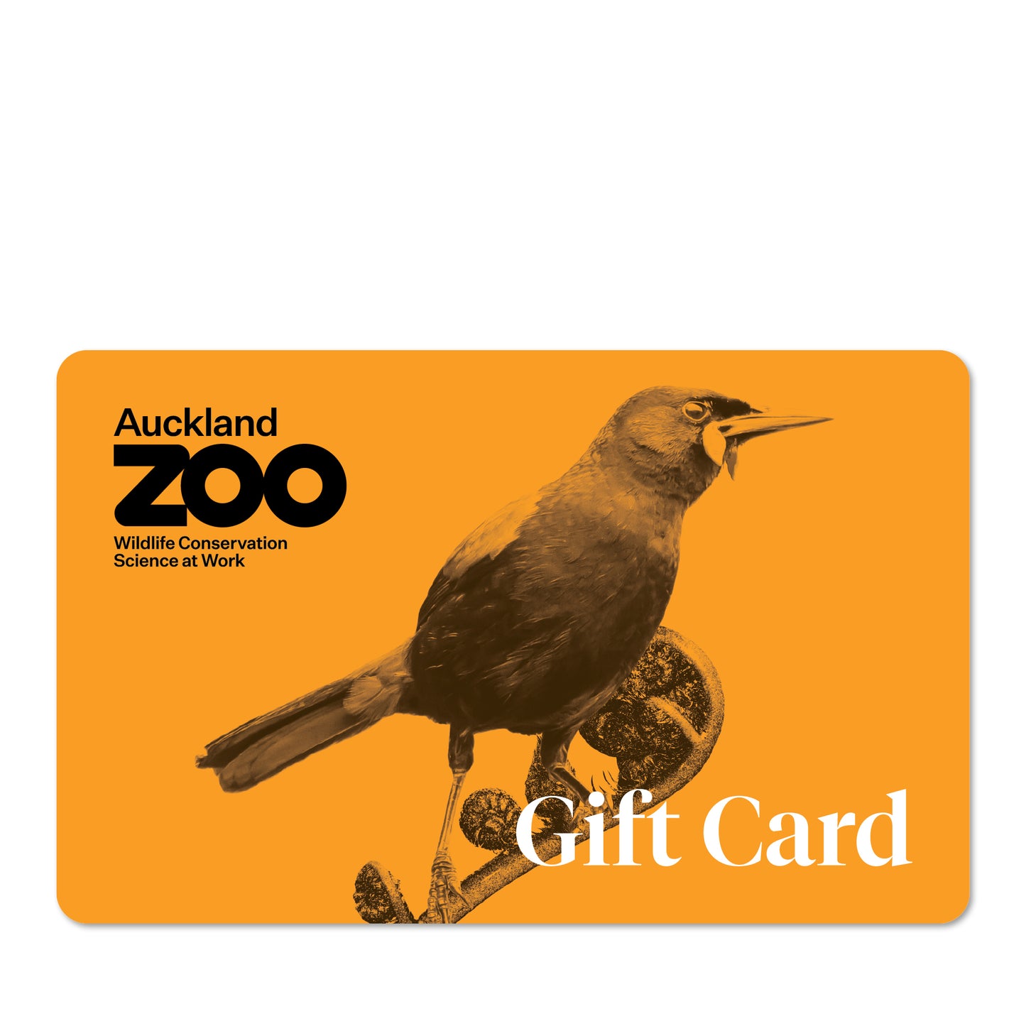 A physical gift card from Auckland Zoo featuring an illustration of a bird on an orange background.