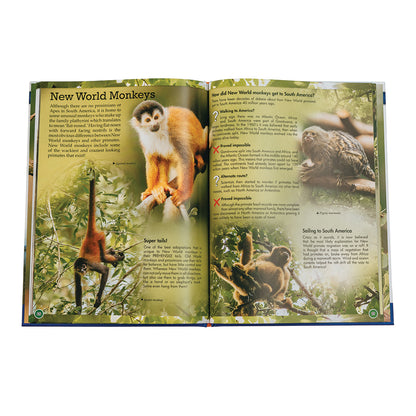 Wonders Of Learning Discover Primates