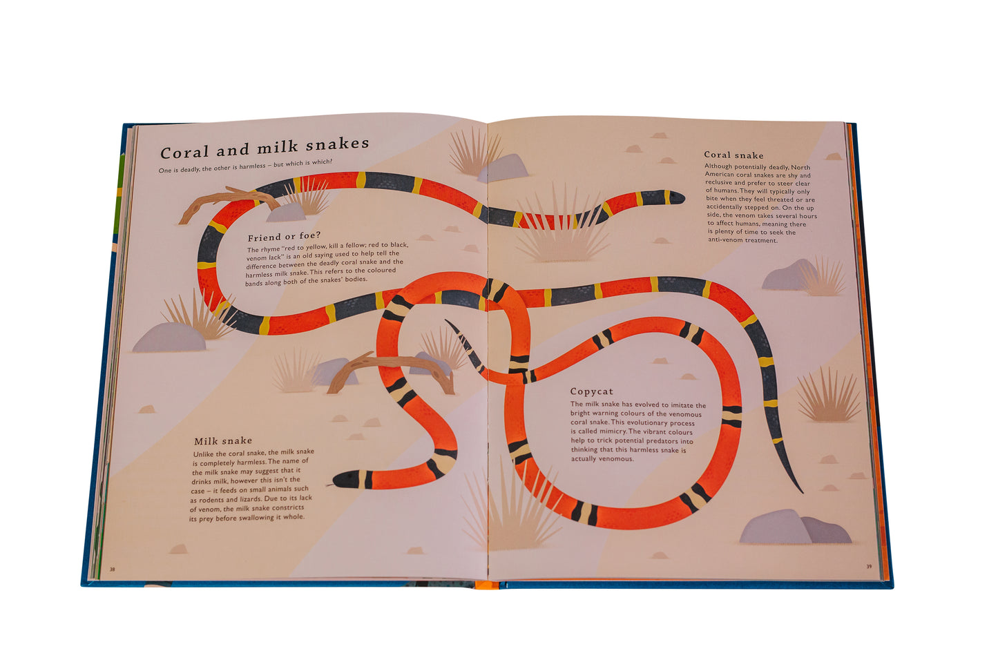 Really Remarkable Reptiles