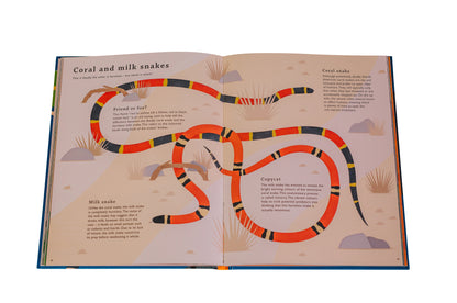 Really Remarkable Reptiles