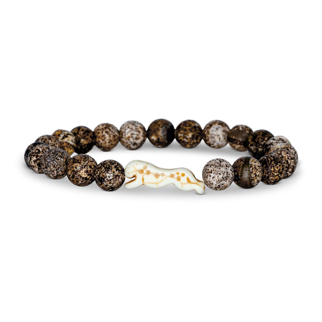 Fahlo Tracking Bracelet: Cheetah Kalahari