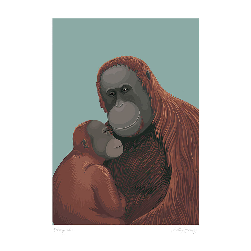 Illustration of two orangutans hugging against a light blue background