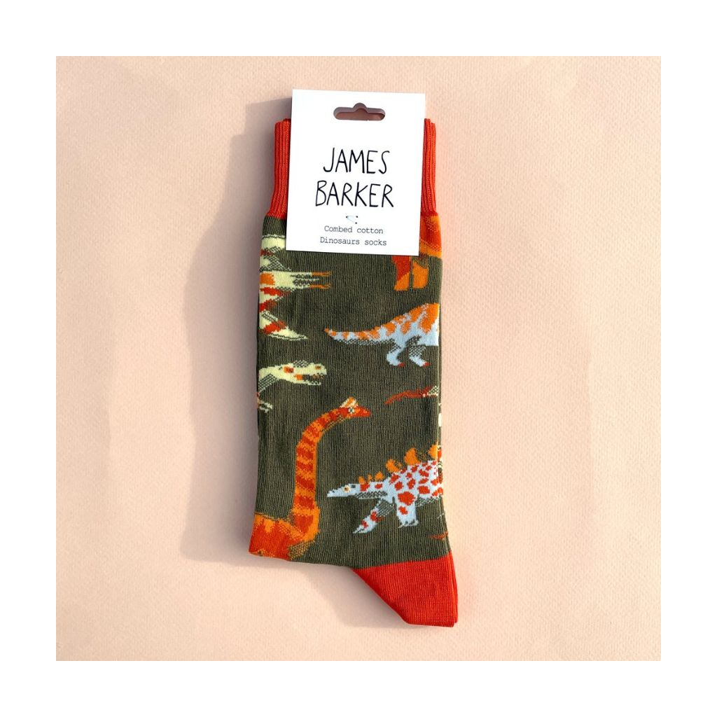 Dinosaur Socks