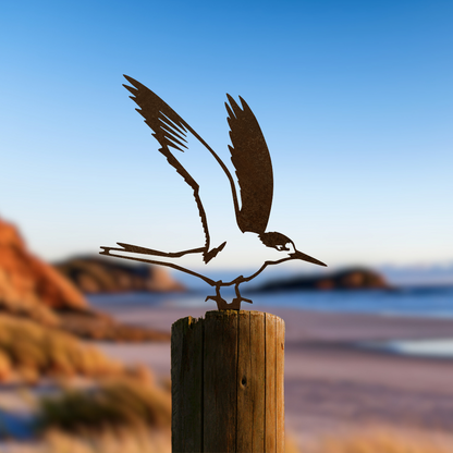 Metalbird Tara Iti