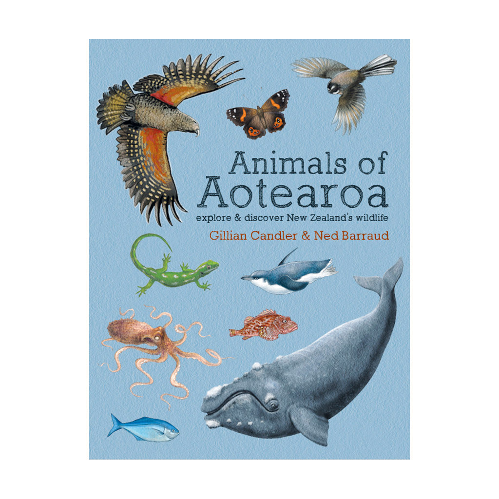Cover of the book 'Animals of Aotearoa' featuring illustrations of various New Zealand native animals including a kea, penguin, and whale.