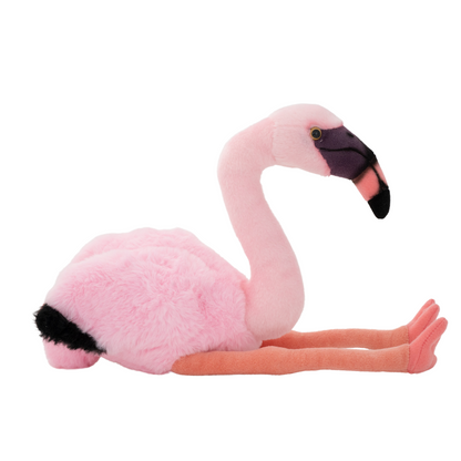 Auckland Zoo Flamingo