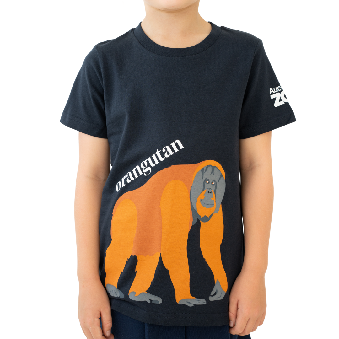 Child wearing a black t-shirt with an orangutan graphic and 'Auckland Zoo' branding.