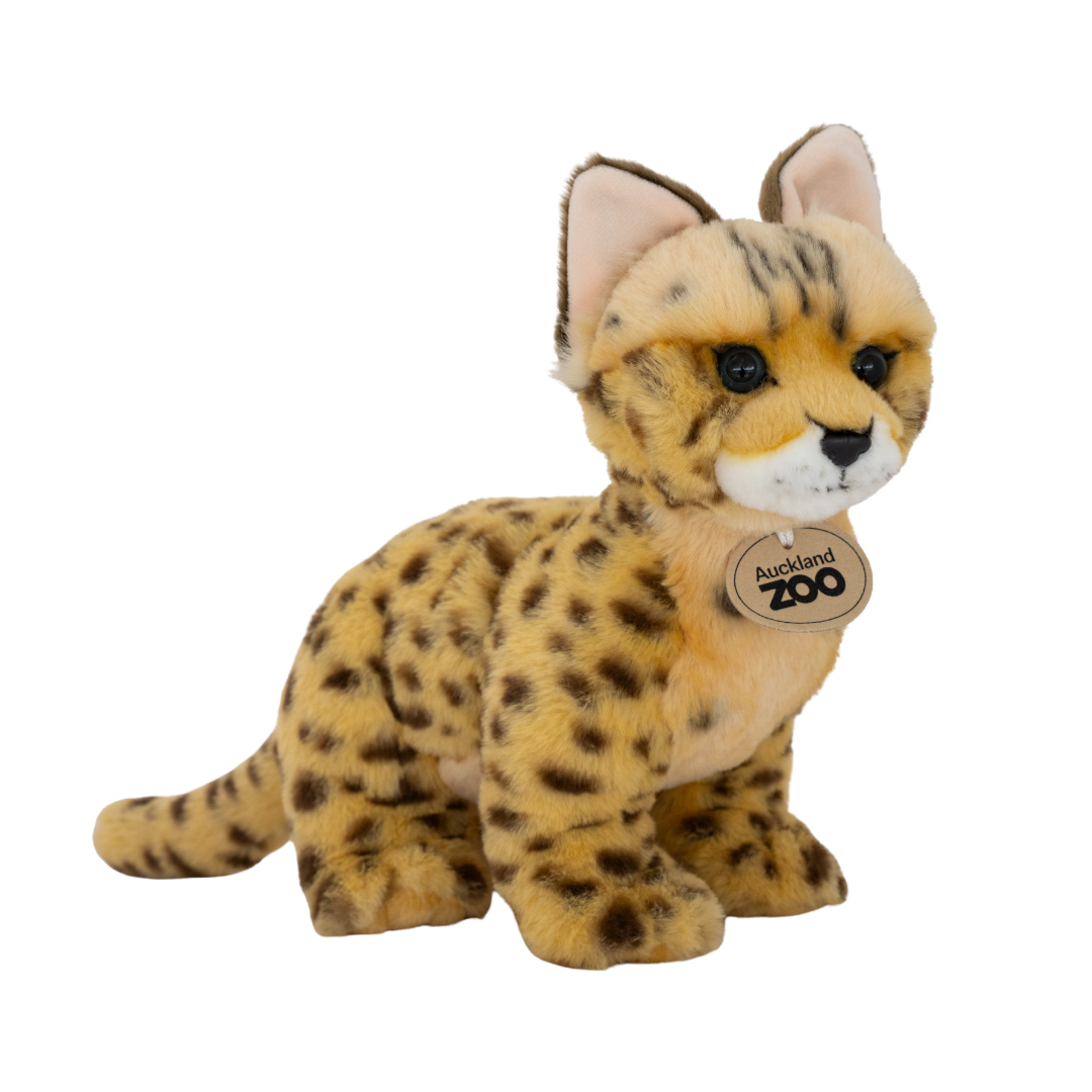 Plush toy cheetah with 'Auckland Zoo' tag on a white background