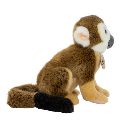 Auckland Zoo Squirrel Monkey