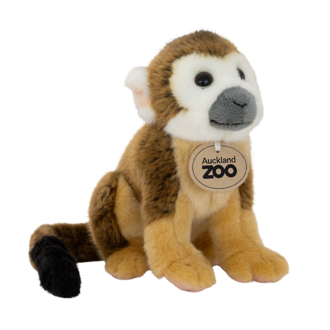 Plush monkey toy with 'Auckland Zoo' tag on a white background