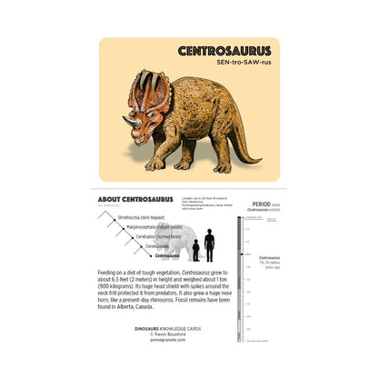 Dinosaurs Knowledge Cards