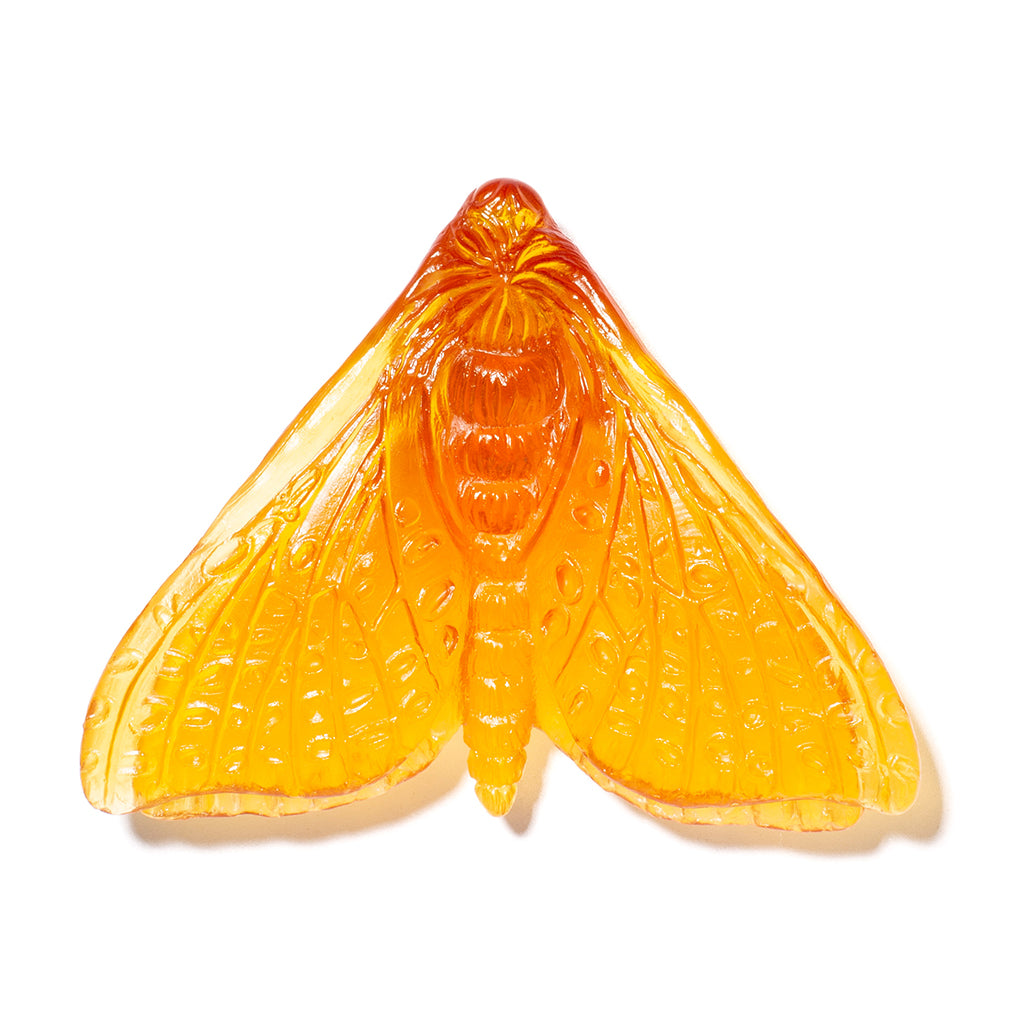 An amber-orange translucent glass moth sculpture with detailed wing patterns, centered on a plain white background.