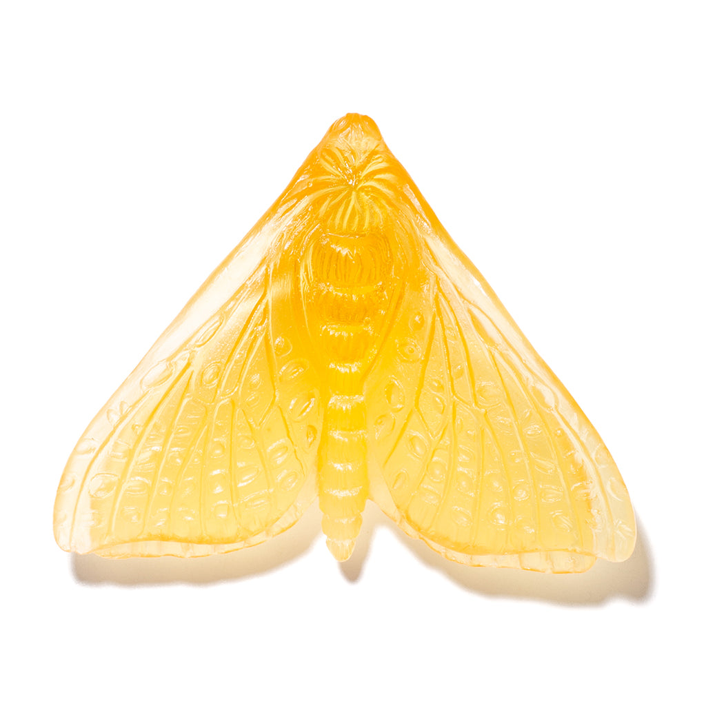 A translucent yellow glass moth sculpture with detailed wing patterns, shown on a clean white background with a soft shadow.