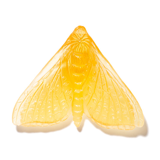 A translucent yellow glass moth sculpture with detailed wing patterns, shown on a clean white background with a soft shadow.