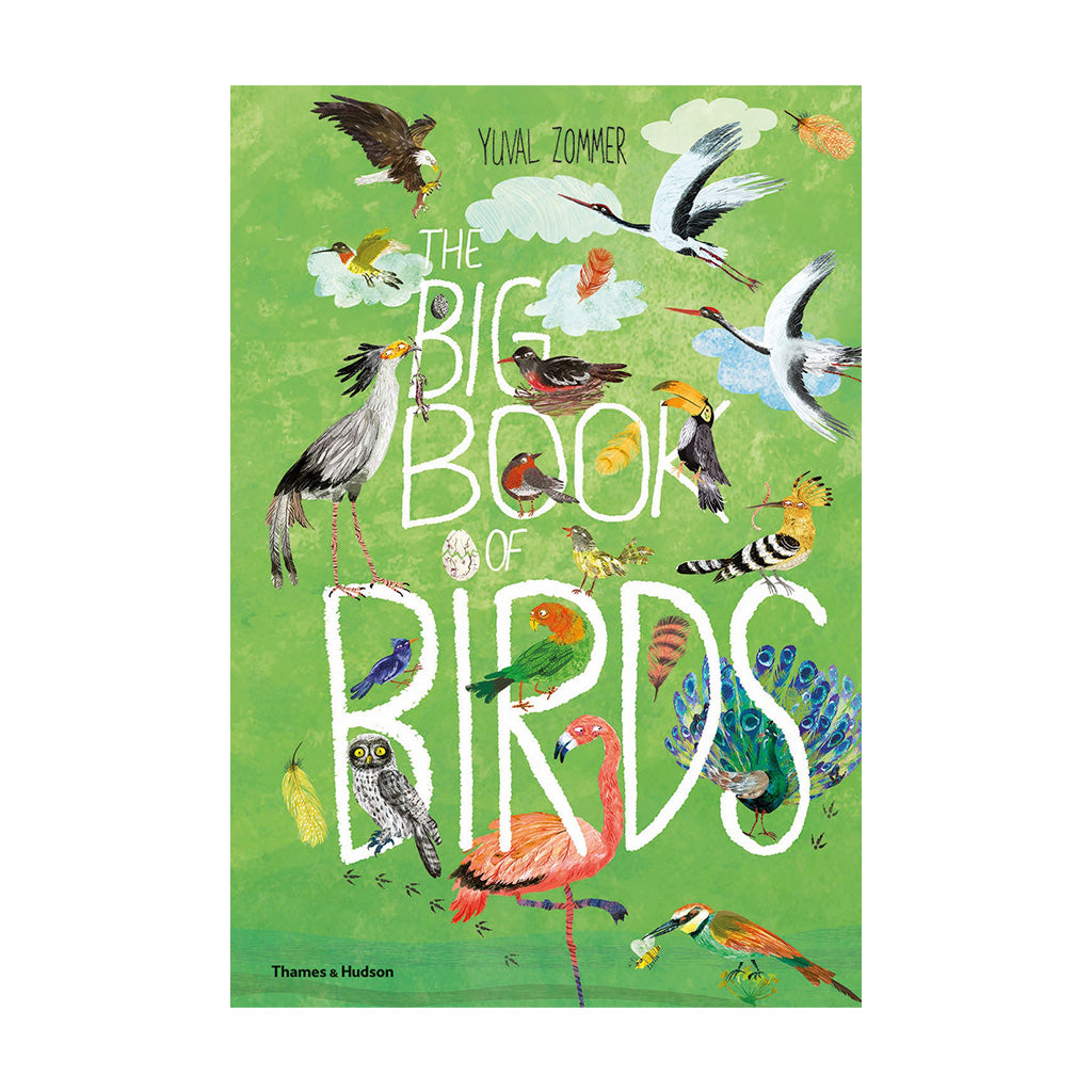 The cover of 'The Big Book of Birds' featuring a colorful illustration of various birds on a green background.