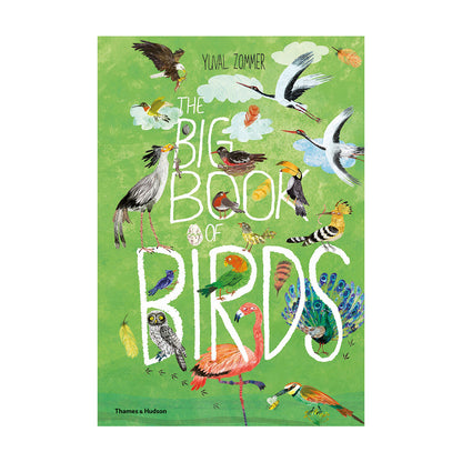 The cover of 'The Big Book of Birds' featuring a colorful illustration of various birds on a green background.