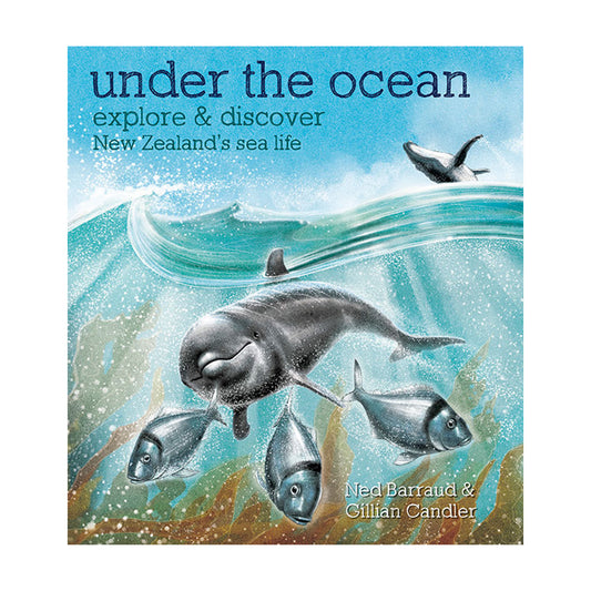 Book cover of 'Under the Ocean' featuring illustrations of marine animals like fish and a dolphin underwater.