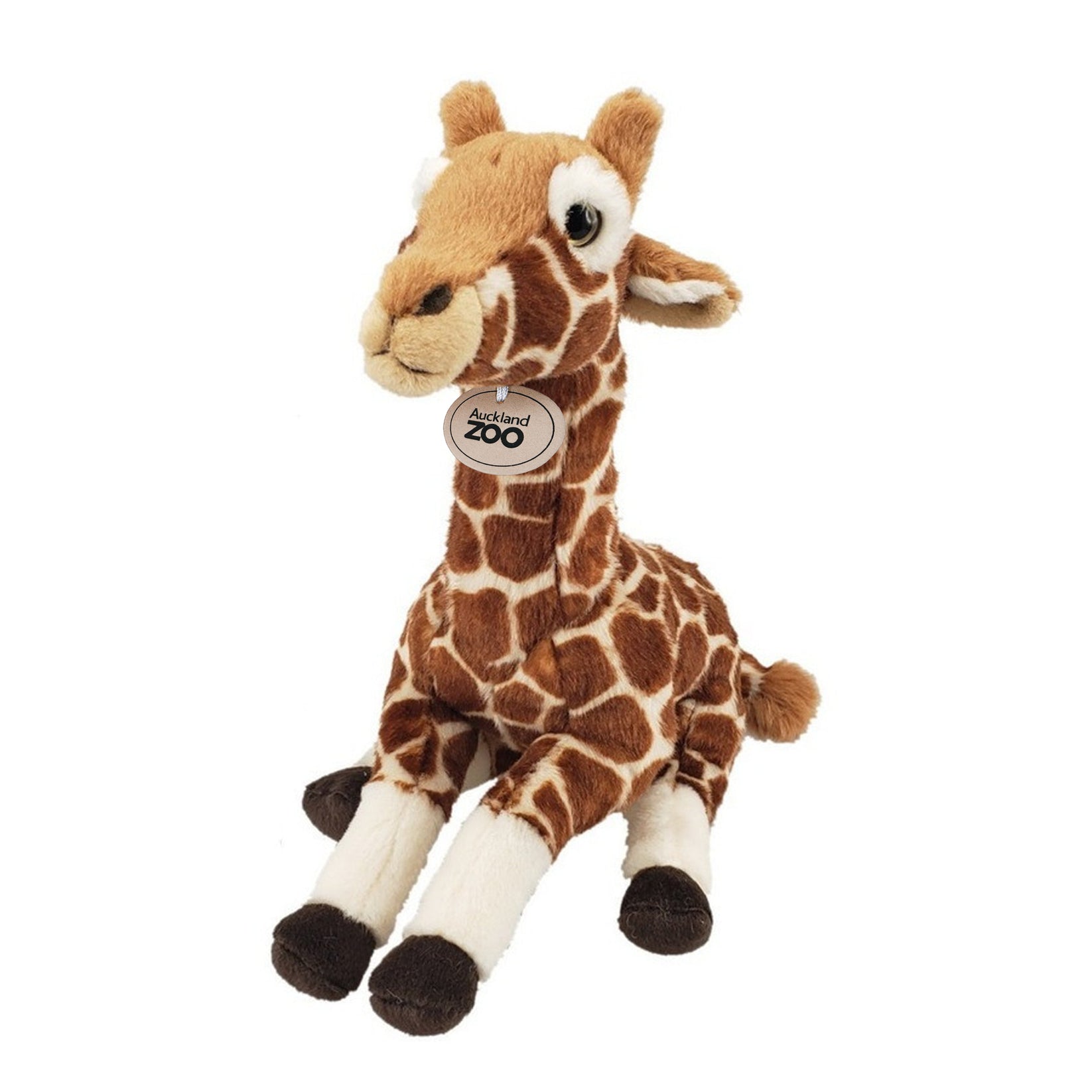 Auckland Zoo Giraffe