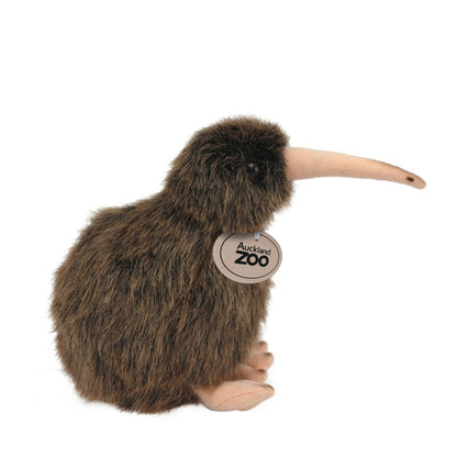 Auckland Zoo Kiwi