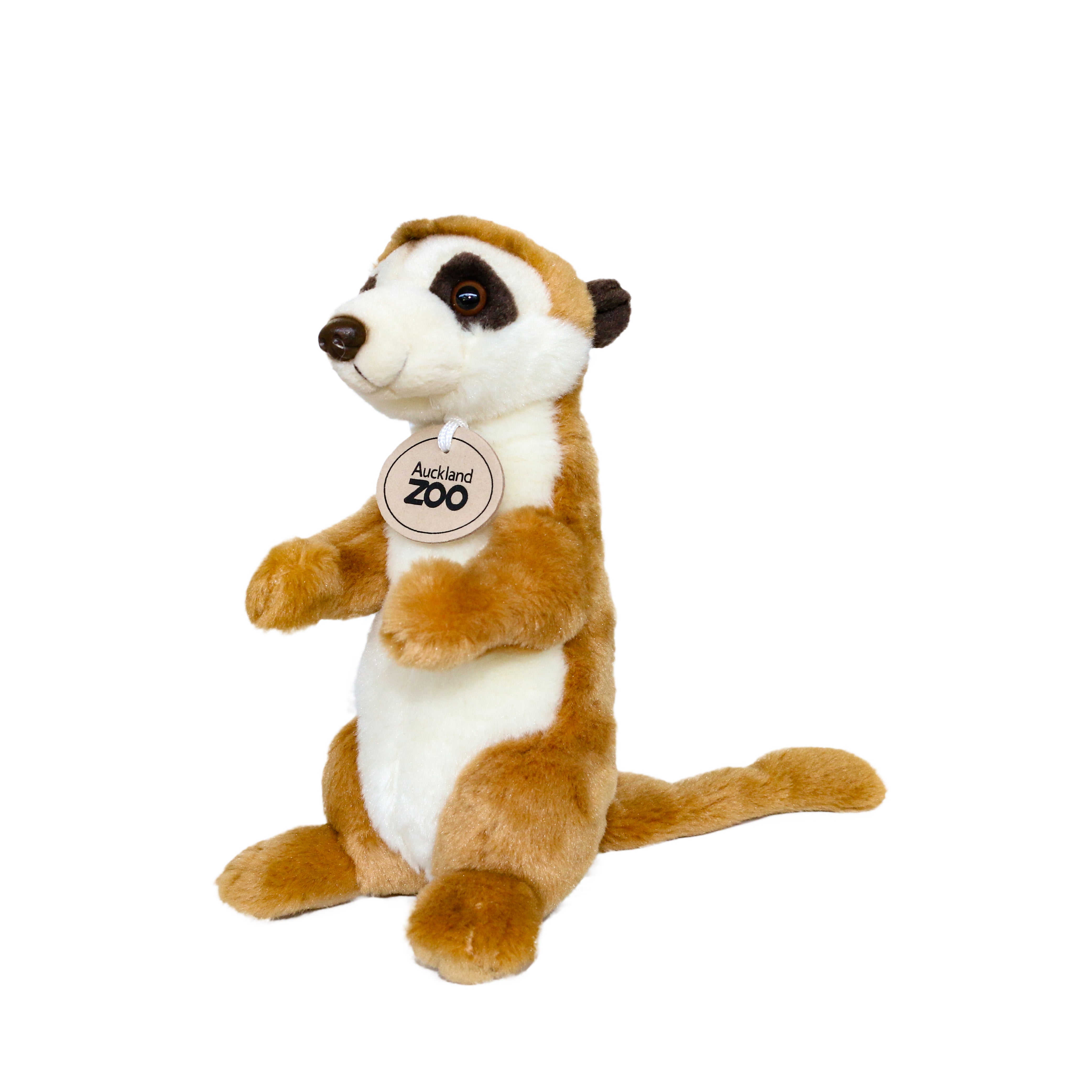 Meerkat teddies 2025 for sale