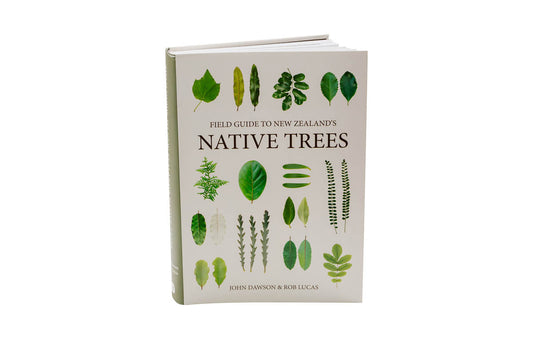 Field Guide to New Zealand's Native Trees